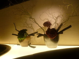 P1010177.JPG