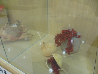 P1010350.JPG
