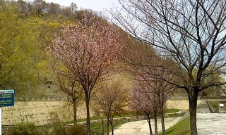 P2011_0512_114813.JPG